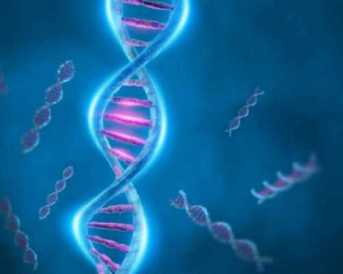 找中介抽血送香港验血_《我眼中的风景》初中作文我眼中的风景(作文)