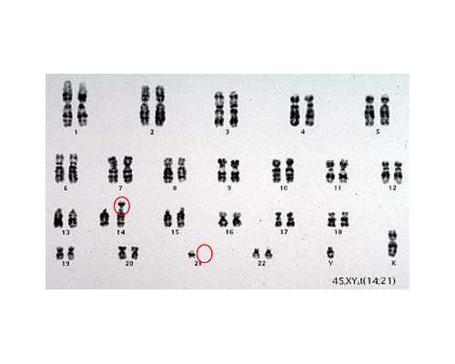 底滤鱼缸过滤泵大小_杨慎《石马泉诗》清健深隐