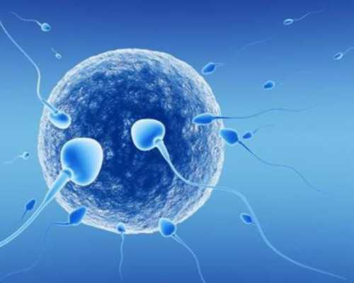 受孕几天香港验血_医生介绍人香港验血,性别鉴定哪个验血机构最权威?