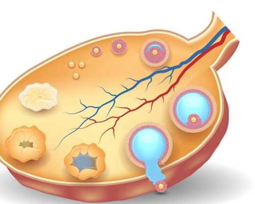 精神氮泵是什么意思啊_钢管舞最IN的健身方式