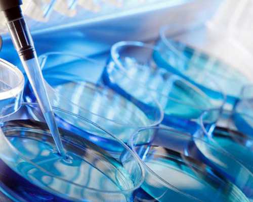 香港验血检测男女是真的吗_上海去香港查生男女准确率?宝妈亲身经历告知你本