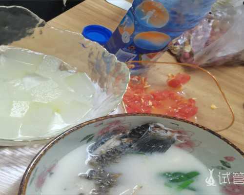 氟尿嘧啶持续泵入用法_曹喜蛙 | 当代艺术为自由主义背起十字架