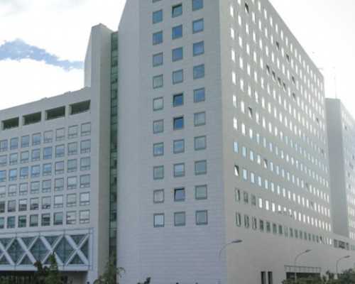 香港验血七周加2早吗_香港验血辨男女_验血查男女真的很准吗!