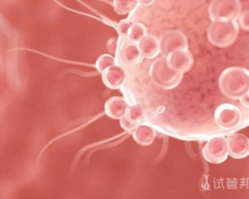 孕妇香港验血报告单_香港dna查男女联系方式_自己到香港验血的真实经历