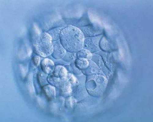 香港验血男女有翻盘的吗_找哪个中介去香港查男女_需要满足的条件以及流程