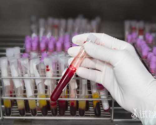 预约香港验血性别鉴定_6周香港验血鉴定男女多少钱_查男女哪家准确率最好!