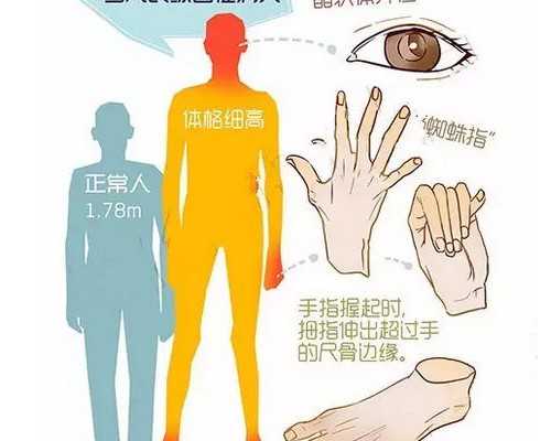 香港机构验血辨别男女准不准_去香港验血要具备哪些条件_分享自己香港验血的