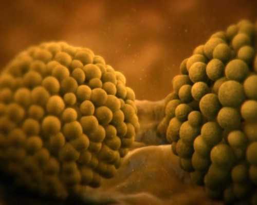 氧气泵原理图解_国内观念艺术加速前进 收藏有待发掘