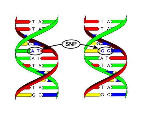 香港验血怀孕几天_香港7周性别鉴定，总结下香港鉴定性别攻略