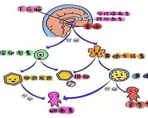 香港验血男孩胎囊茄子_香港协国验血报告单_抽血查性别是真还是假!