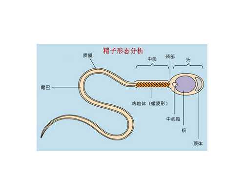 香港验血没出结果_香港验血怎么样,本人亲身经历告诉你
