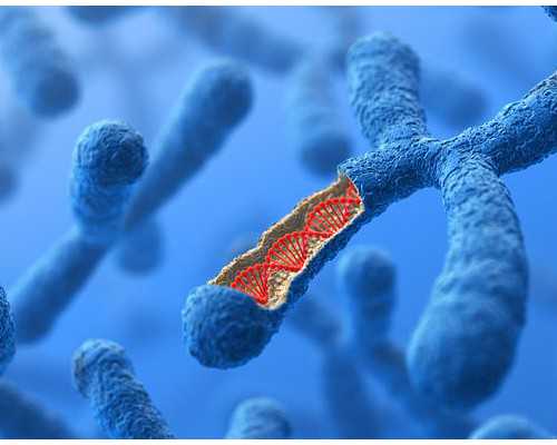 有没有宝妈邮寄香港HK验血被骗的_香港验血没有寄报告单准不准_验男女真的会