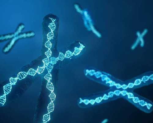 水泵历史_期待更全面深入的石刻保护