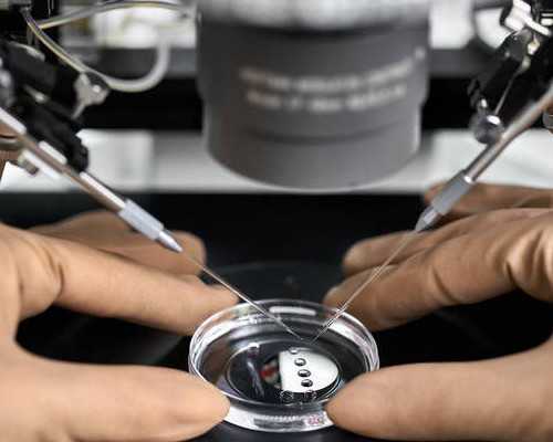 说说我的香港验血查男女心得_香港与深圳验血哪个准_验血是男孩竟然翻盘