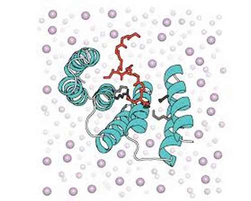 氮泵英文简称_江西召开全省艺术创作工作会议