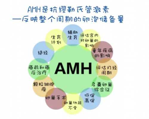 中国最大的泵_如何游泳减肥