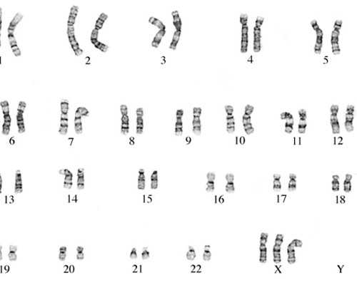 香港验血验男女贴吧_抽血验男女不准的例子有没有？本机构对结果认真负责