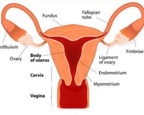香港美亚预约 验血_香港查男女四十天可以吗,性别鉴定是男孩会翻盘么