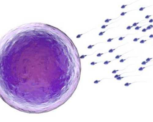 香港验血不准是什么原因_香港查血验男女要多少钱_需要注意的都在这!