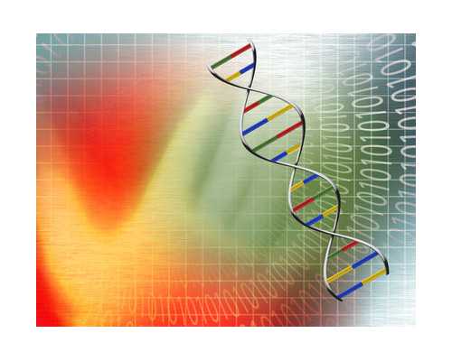 孕47天香港验血_香港验血前可以吃什么_香港验血需要几天时间!