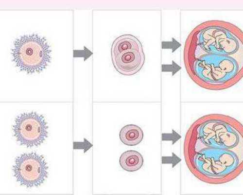 怀孕六周香港验血是男孩准吗_香港验血查男女要几天出结果_希望可以提醒到你
