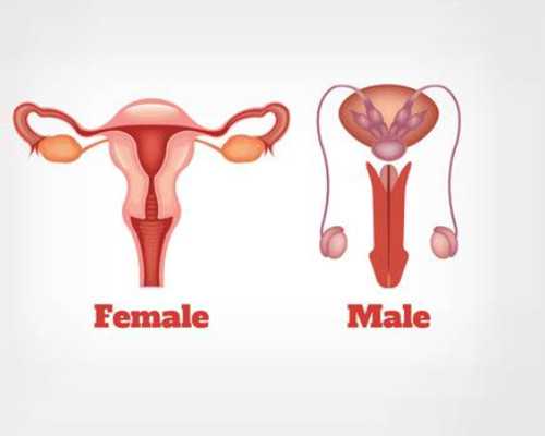 香港验血40天能验出来吗_孕妇香港验血要准备什么影响_胎儿性别鉴定有科学依