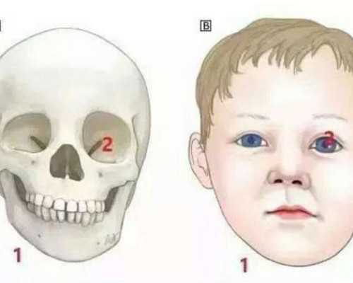 寄香港验血几天出结果_2026达雅高男宝报告单最具威望的验血组织是哪家
