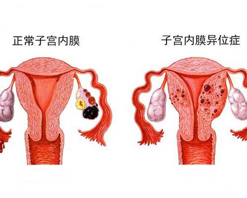 香港验血结果单图_香港验血未能确定_该如何预约去香港查男女!