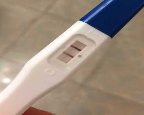 蠕动泵泵头软管_生命的底色——殷双喜访谈段正渠