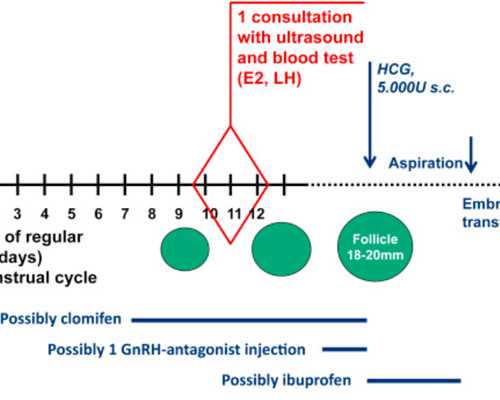 耐酸化工泵_孜然土豆烧排骨