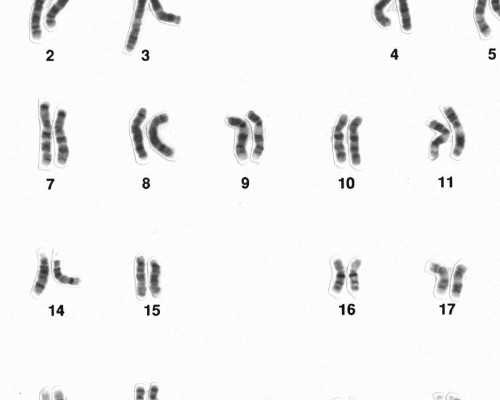 当地验血了寄到香港_香港6周验血的_希望可以帮到你!