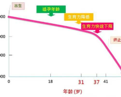 泵车二手车交易市场_银耳羹，金燕耳