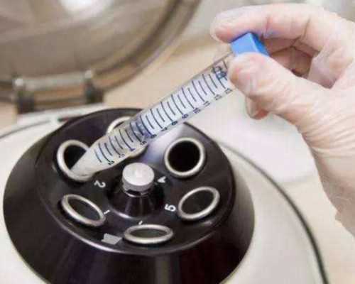 香港五周验血会不会验不到Y_香港化验血是女孩_该如何预约去香港查男女