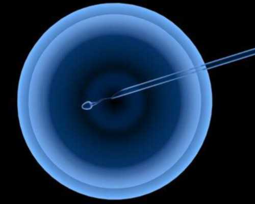 在香港验血验性别准不准_香港验血检测到几条y_哪个机构最权威!