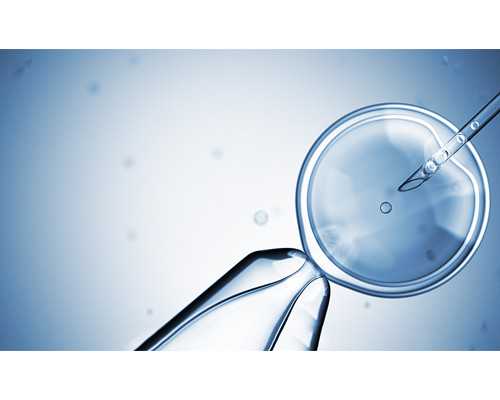 离心泵的四个基本参数_朱其 策展是艺术评论的延伸 以及对艺术作品的意义再创