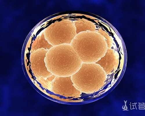 香港验血邮寄结果是真的吗_香港验男女是查什么,需要达到什么条件或者是要求