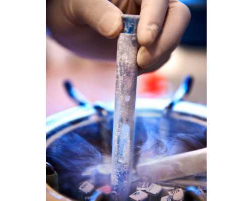 香港验血测男女报告怎么上网查_怎么到香港验血查胎儿性别?让亲历者用事实来