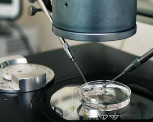 香港验血 九周 准吗_香港验血翻盘机会大吗_验血没y生了男孩!