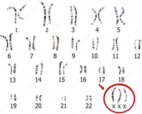 香港现代验血攻略_香港验血经验分享_亲历者用事实来讲述真相