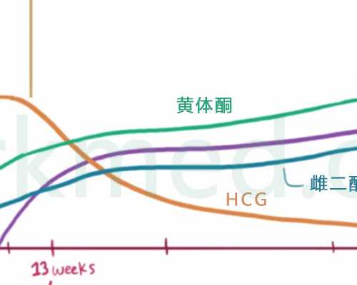泵 示意图_宁波美术馆荟萃学院素描