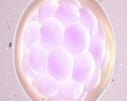 香港正规医院验血男女准的吗_11周了可以香港验血,验血查男女需要注意什么