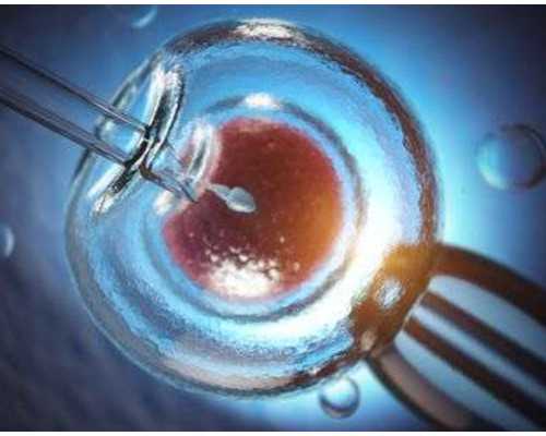 为什么香港验血要等七周_香港验血测男女要怀孕多久,香港验血的费用是多少