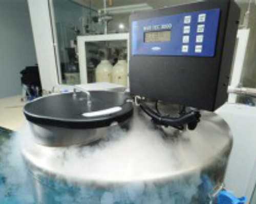 普发真空新一代HiLobe®罗茨泵亚洲首次公开亮相，透露了哪些信号？