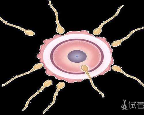 到香港验血可以立刻出结果吗_验血查性别只有香港有_查性别哪个机构最权威