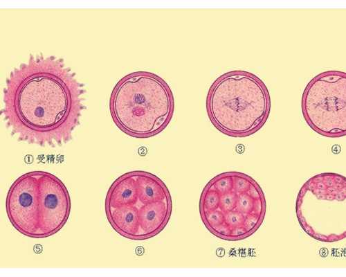 香港验血测胎儿性别不准的吗_关于满招损谦受益的事例满招损，谦受益.是什么
