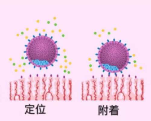 香港验血5周可以验吗_孕妇去香港验血查性别_鉴定胎儿性别准确率高吗!