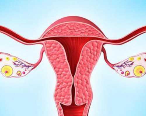 香港验血坚定男女多久出结果_作文《偶然的发现》600字以上作文 偶然的发现