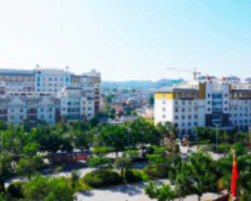 质子泵是什么意思简单一点说_梵高尘封百年素描作品亮相阿姆斯特丹