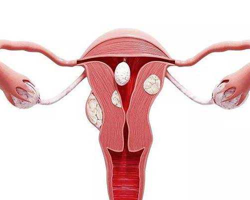 这个泵拼音怎么读_吴为山《鉴真像》在日本东京揭幕