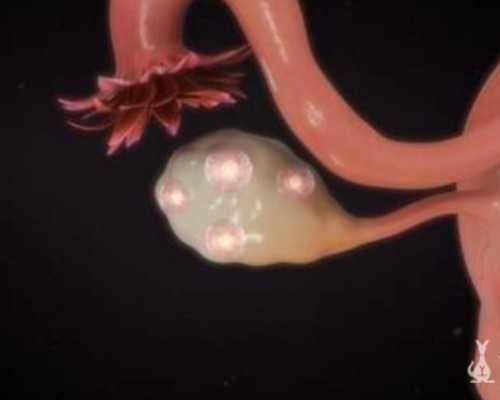 船舶泵的分类_热身运动做什么好?